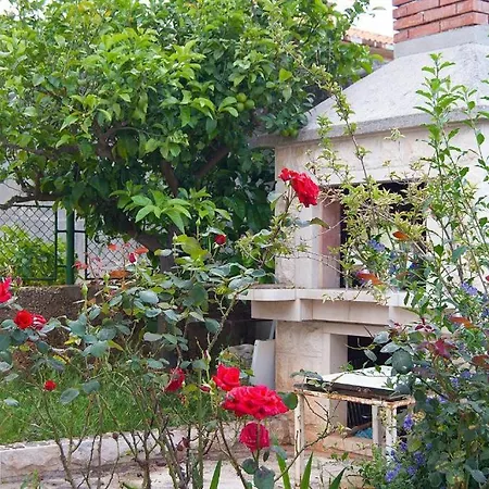Moretino